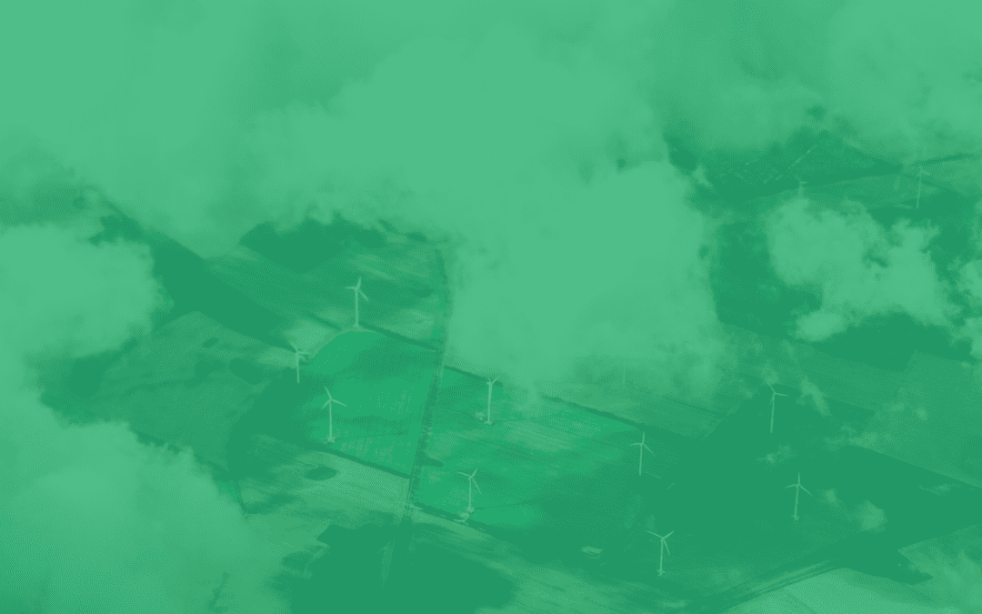 How to Build a Career in Environmental Policy and Advocacy